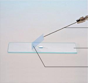 生物晶片玻璃载玻片主要的功能是什么